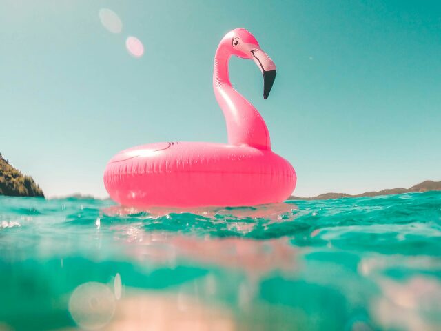 海に浮かんでいるピンクのスワンフロート