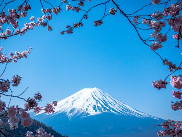 桜の間から見える富士山