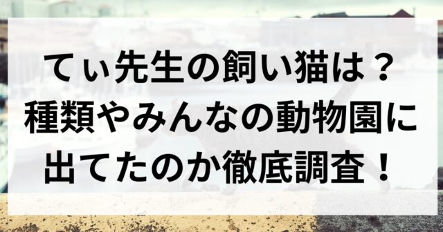 てぃ先生の飼い猫は？種類やみんなの動物園に出てたのか徹底調査！