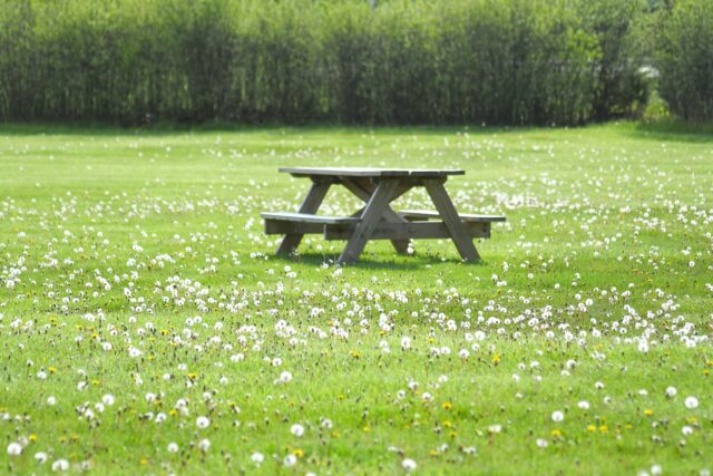 公園に置いてあるテーブル